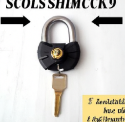 how much does it cost to hire a locksmith in charleston